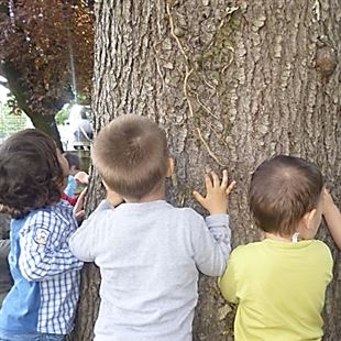 Sabato l'inaugurazione dei tre nuovi servizi per l'infanzia