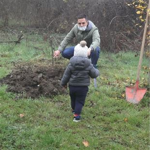 Circa 260 nuovi alberi lungo il Torrente Tiepido per i bambini nati nel 2020