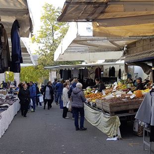 Molestie al mercato, il commento del leghista Romani 