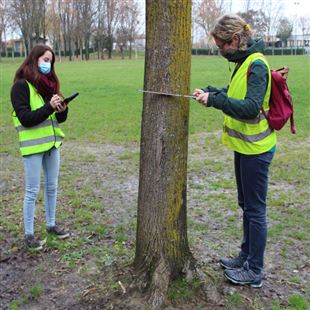 Verde pubblico, al via il censimento delle alberature