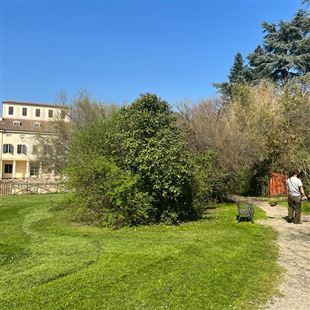 Verde pubblico: via allo sfalcio dell’erba su tutto il territorio comunale