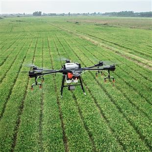Settembre Formiginese: tra agricoltura e innovazione