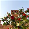 Castello in fiore: questo fine settimana a Formigine la mostra-mercato sul giardinaggio