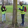 Verde pubblico, al via il censimento delle alberature