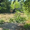 Pulizia dietro i campi da tennis di viale dello Sport