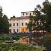 Spazi Eletti: tra il libro e la lettura in Villa Gandini 